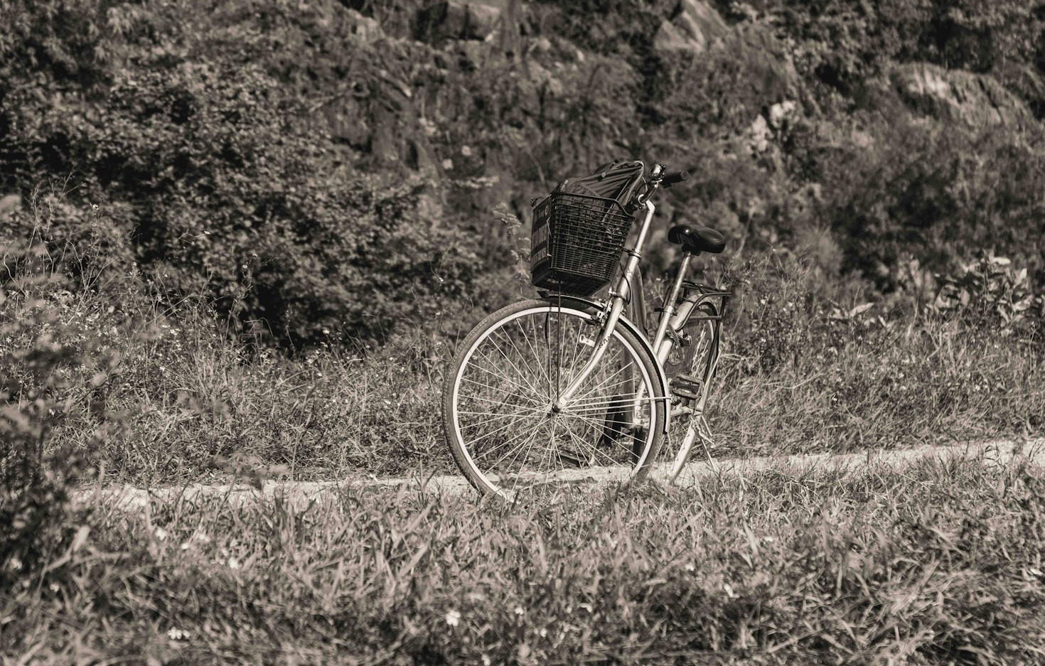 Cicloturismo per principianti: consigli utili